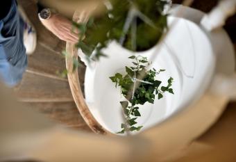 Urban Walls allows 18 year olds to book a room