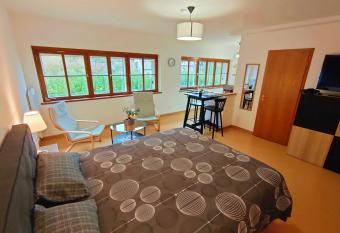 Lumineux Appartement Free Parking Nature Ville tt   quip   allows 18 year olds to book a room