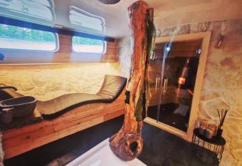 Private ship with wellness and beautiful design allows 18 year olds to book a room