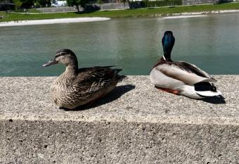 Ferienwohnung Behrend - Wohlf  hlen in Bad T  lz has Balcony rooms