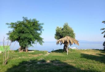Crazy beach house has Balcony rooms