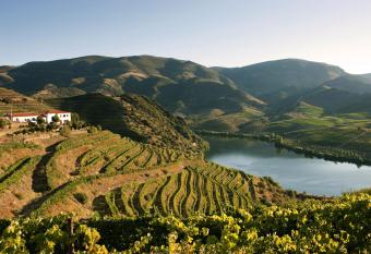 Villa Auri has Balcony rooms