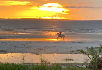 FlowMove Retreat Algodoal has Balcony rooms