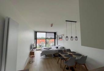 Work or holiday nieuw studio Santhooft has Balcony rooms