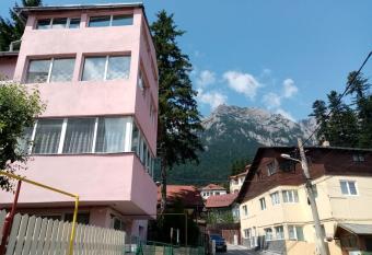 Vila Danlavi Busteni has Balcony rooms