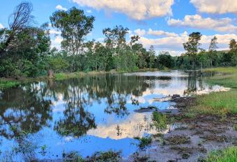 Little Forest Farm has Balcony rooms