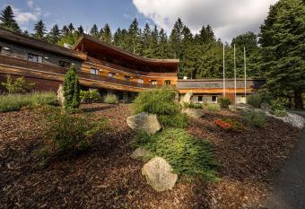 Horsk   hotel Lorkova vila has Balcony rooms