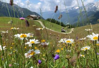 Appartament Anna 4 allows 18 year olds to book a room