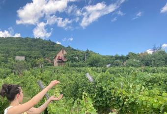 Feh  r Sz  l   Vend  gh  z allows 18 year olds to book a room