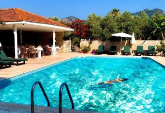 Eser Apart Dalyan has Balcony rooms