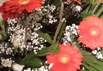 Da Hele & Zozi has Balcony rooms