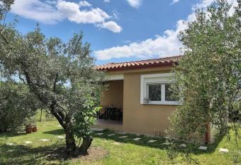 Inside the trees has Balcony rooms