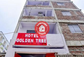 Flagship 81483 Golden Tree allows 18 year olds to book a room
