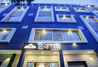 Super OYO Townhouse 479 Hotel Pine Tree allows 18 year olds to book a room