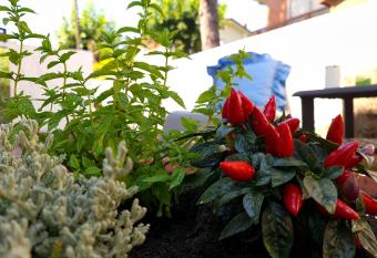 Villa Versilia has Balcony rooms