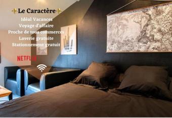 Le Caract  re - centre ville- WIFI- parking allows 18 year olds to book a room