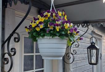 Piispan majatalo, pieni erillistalo has Balcony rooms