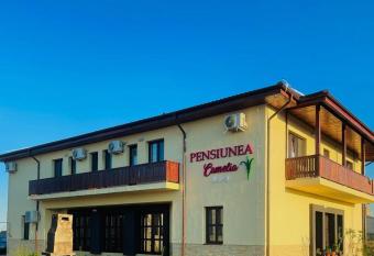 PENSIUNEA CAMELIA has Balcony rooms