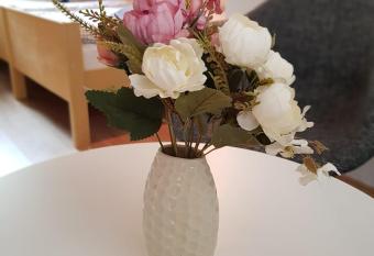 Studio apartman Ivana has Balcony rooms