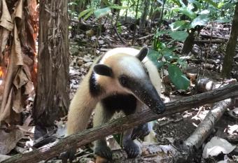 Sur   House Corcovado Habitaci  n Big has Balcony rooms
