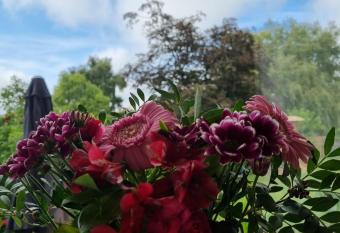 Roz Hus has Balcony rooms