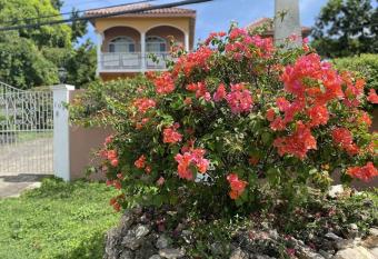 Mountain View Montego Bay Surprise Villa has Balcony rooms