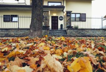 Base531 has Balcony rooms