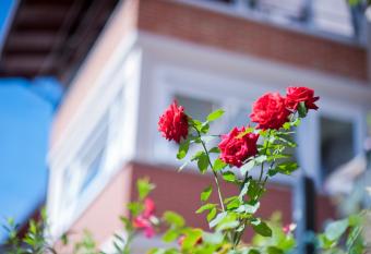 B&B Il Pettirosso allows 18 year olds to book a room