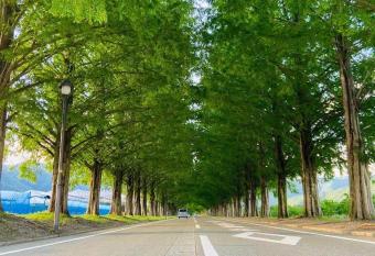          in                   has Balcony rooms