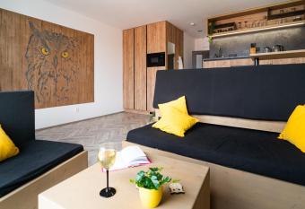 Birds Nest Apartment - Brno Center allows 18 year olds to book a room