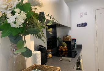 BOURNEMOUTH Nr TOWN BEACH TRAIN COACH SHOPS Lovely ENTIRE APARTMENT ALLOWS QUIET GOOD DOGS allows 18 year olds to book a room