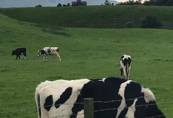 Breeze Place has Balcony rooms