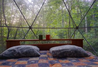 Forest Hut has Balcony rooms