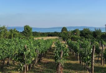 Kish  z a sz  l  hegyen allows 18 year olds to book a room