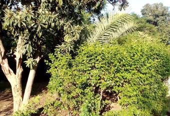 Newly Renovated GuestHouse has Balcony rooms