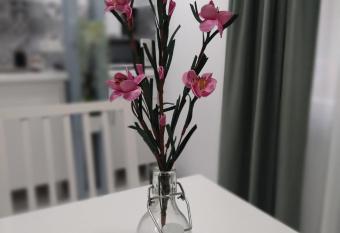 Nice & Cool Studio allows 18 year olds to book a room