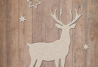 Bozen Mitte has Balcony rooms