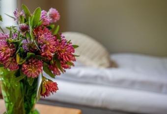 Raggsocka Logi allows 18 year olds to book a room