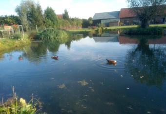 Gite esprit loft allows 18 year olds to book a room