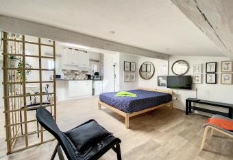 Grand St Pierre Studio mansard   atypique Climatis   allows 18 year olds to book a room