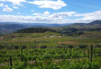 Quinta Soutelinho has Balcony rooms
