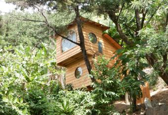 Treehouse Retreat - Glamping Plus has Balcony rooms