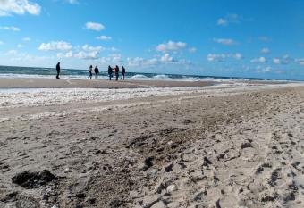 De Zwarte Ruiter has Balcony rooms