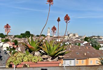 Piccolo paradiso has Balcony rooms