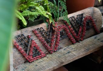              KIVALA Hostel allows 18 year olds to book a room