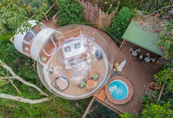 BubbleSky Glamping Guatap   allows 18 year olds to book a room
