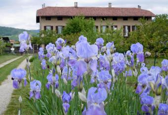 U Tej has Balcony rooms