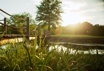 Cedar Creek has Balcony rooms