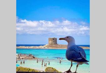 Pelosa - Capo Falcone Excellent Apartment has Balcony rooms