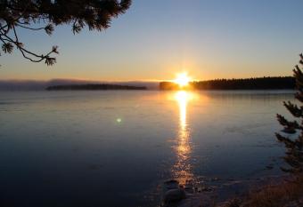 Honkiniemi allows 18 year olds to book a room